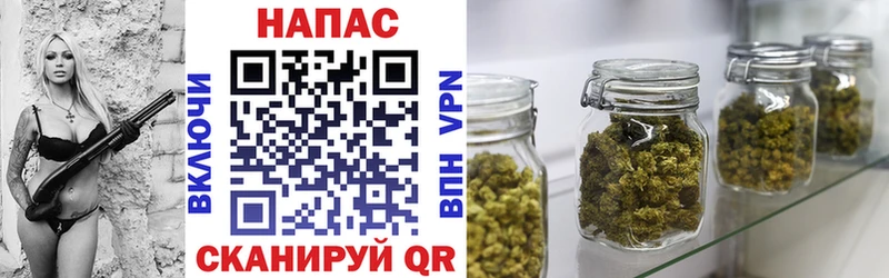 Купить  Новотитаровская  Конопля тримм 